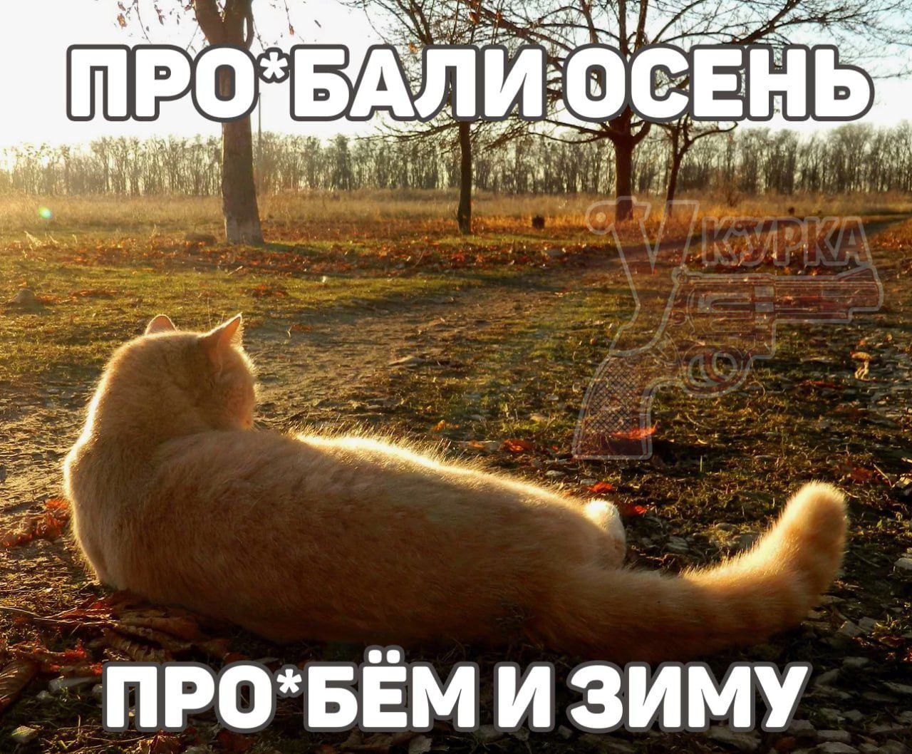 ПРО*БАЛИ ОСЕНЬ
ПРО*БЁМ ИЗИМУ