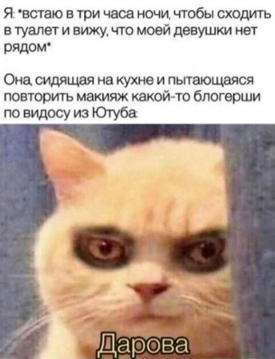Я встаю в три часа ночи, чтобы сходить в туалет и вижу, что моей девушки нет рядом
Она сидящая на кухне и пытающаяся повторить макияж какой-то блогерши по виду из Ютуба
Дарова