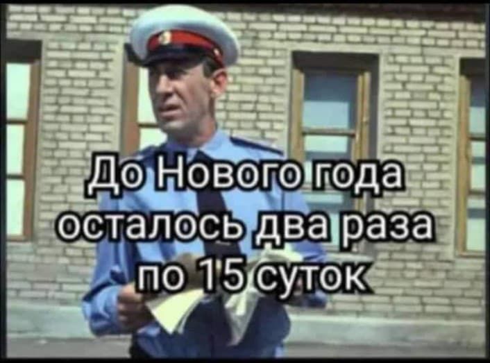 До Нового года осталось два раза по 15 суток