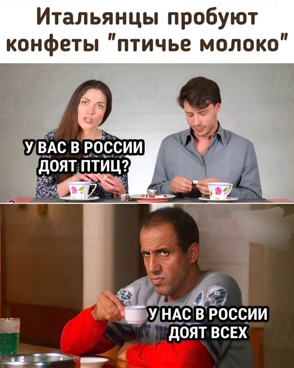 Итальянцы пробуют конфеты 