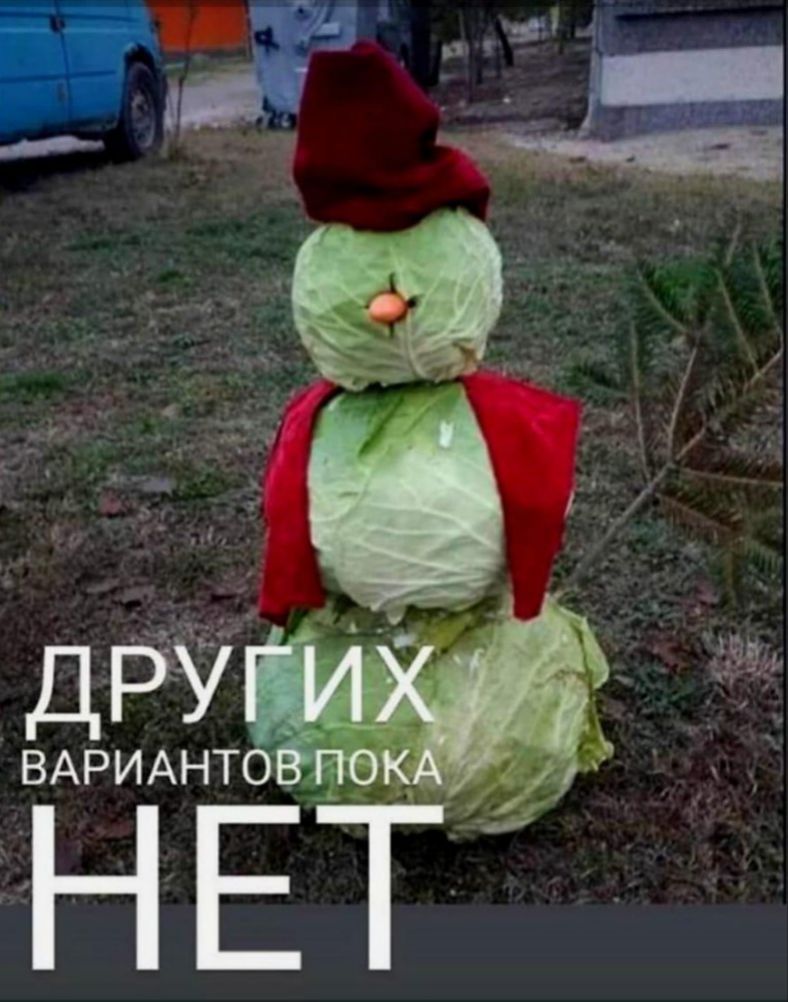 ДРУГИХ ВАРИАНТОВ ПОКА НЕТ