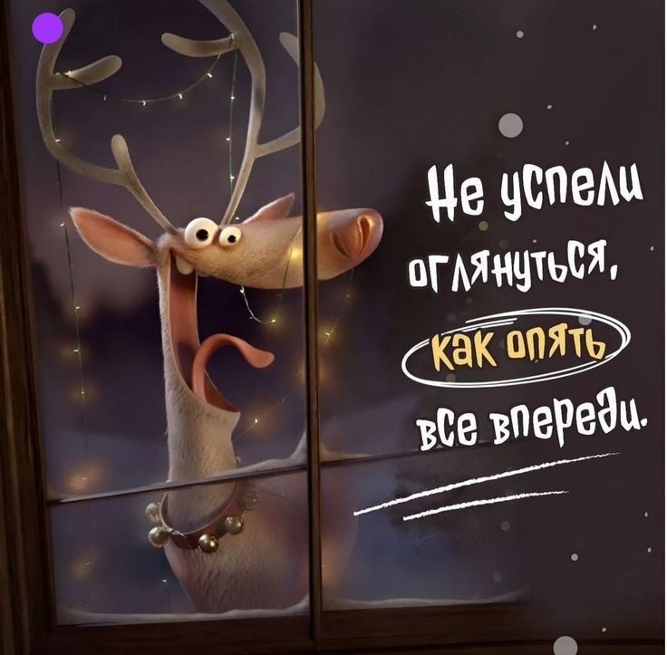 Не успели оглянуться, как опять все впереди.