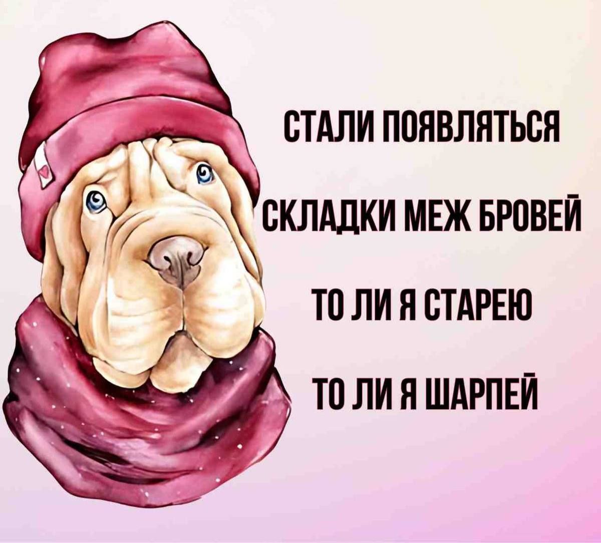 Стали появляться складки между бровей, то ли я старею, то ли я шарпей.