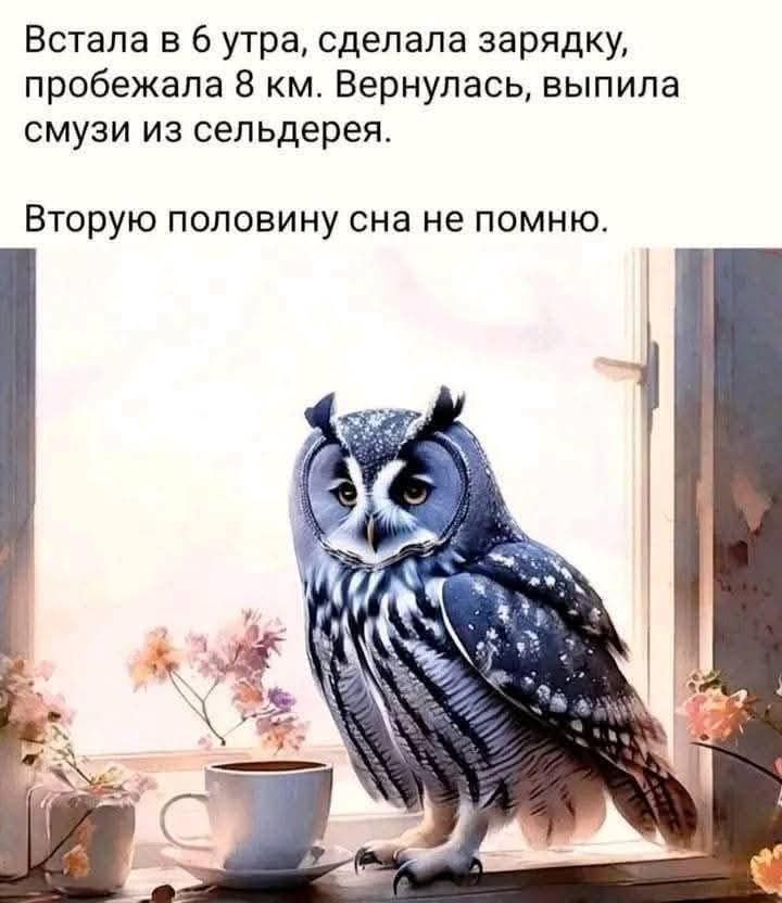 Встала в 6 утра, сделала зарядку, пробежала 8 км. Вернулась, выпила смузи из сельдерея.
Вторую половину сна не помню.