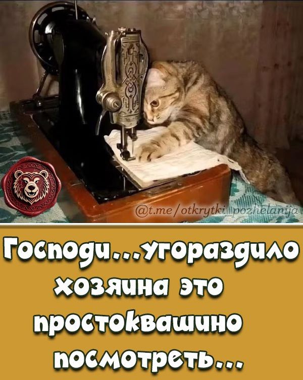 Господи... угорaздило хозяина это простоквашино посмотреть...