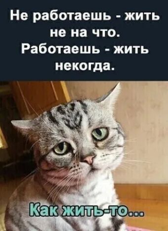 Не работаешь - жить не на что. Работаешь - жить некогда. Как жить-то...