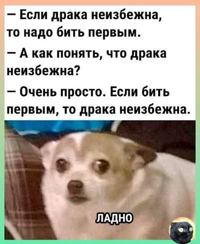— Если драка неизбежна, то надо бить первым. 
— А как понять, что драка неизбежна? 
— Очень просто. Если бить первым, то драка неизбежна. 

ЛАДНО