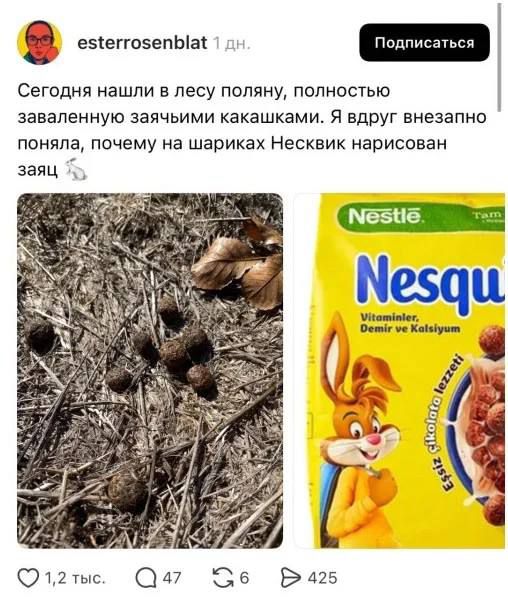Сегодня нашли в лесу поляну, полностью заваленную заячьими какашками. Я вдруг внезапно понял, почему на шариках Несквик нарисован заяц