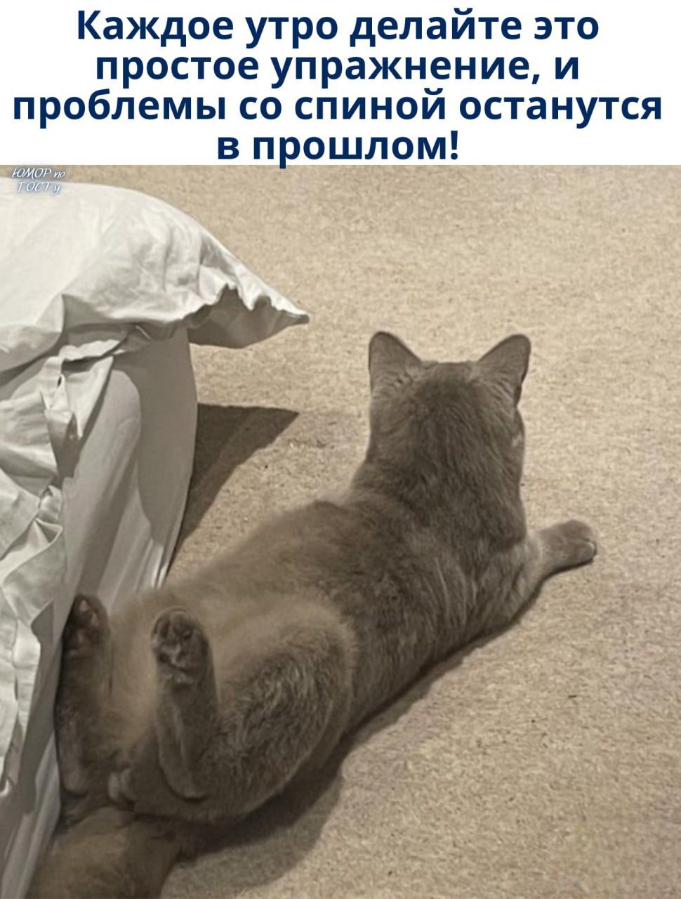 Каждое утро делайте это простое упражнение, и проблемы со спиной остановятся в прошлом!