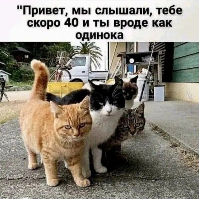 Привет, мы слышали, тебе скоро 40 и ты вроде как одинока