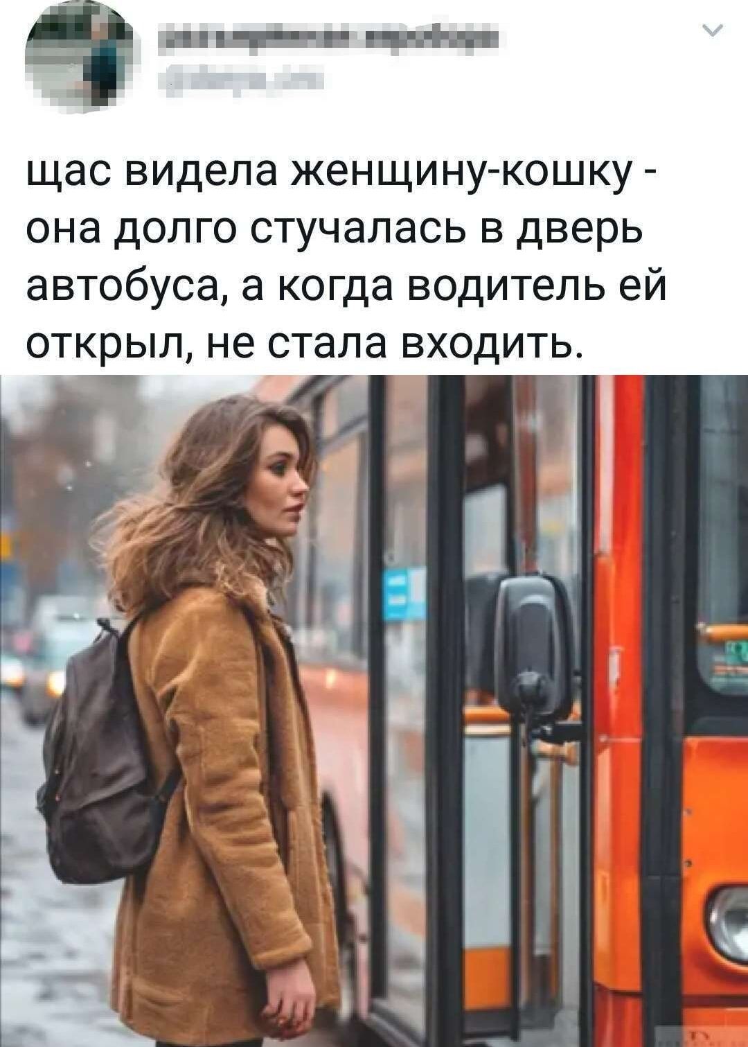 щас видела женщину-кошку - она долго стучалась в дверь автобуса, а когда водитель ей открыл, не стала входить.