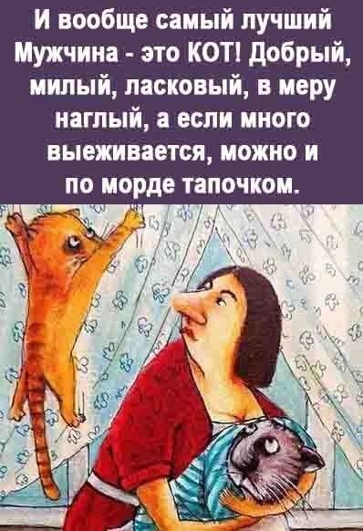 И вообще самый лучший Мужчина - это КОТ! Добрый, милый, ласковый, в меру наглый, а если много выеживается, можно и по морде тапочком.