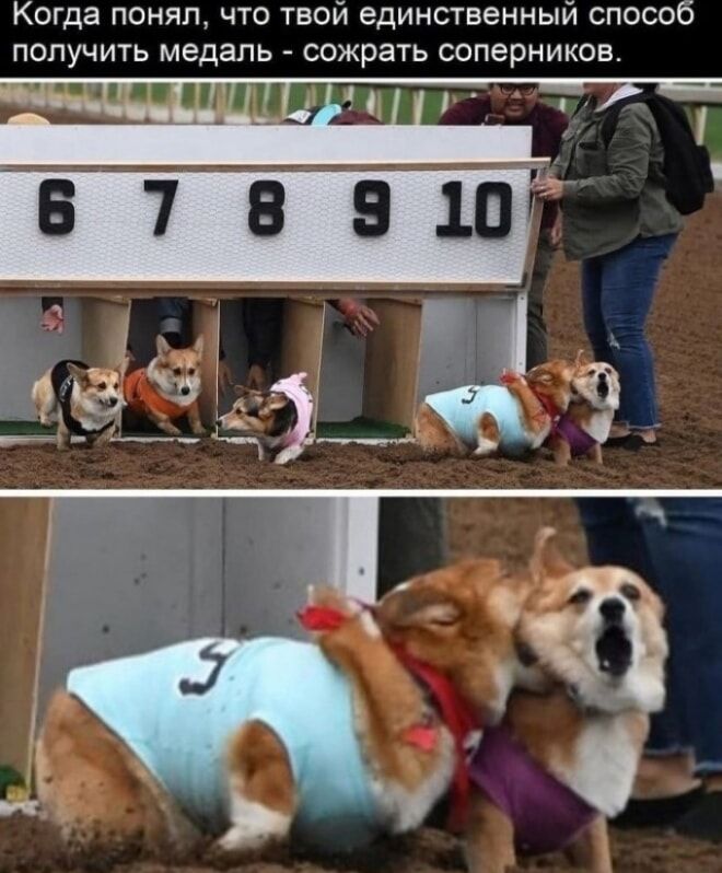 Когда понял, что твой единственный способ получить медаль - сожрать соперников. 6 7 8 9 10