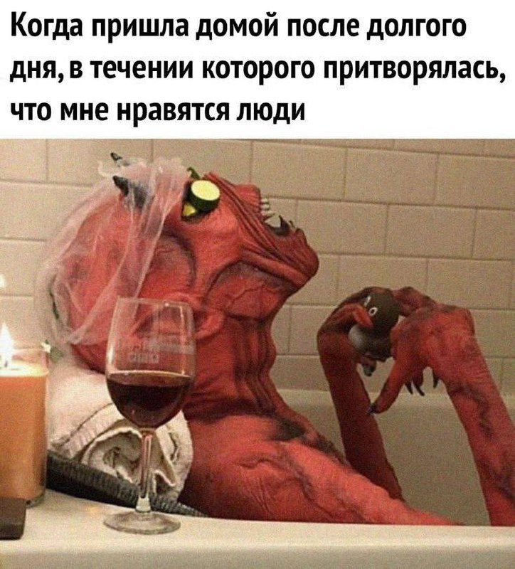 Когда пришла домой после долгого дня, в течение которого притворялась, что мне нравятся люди