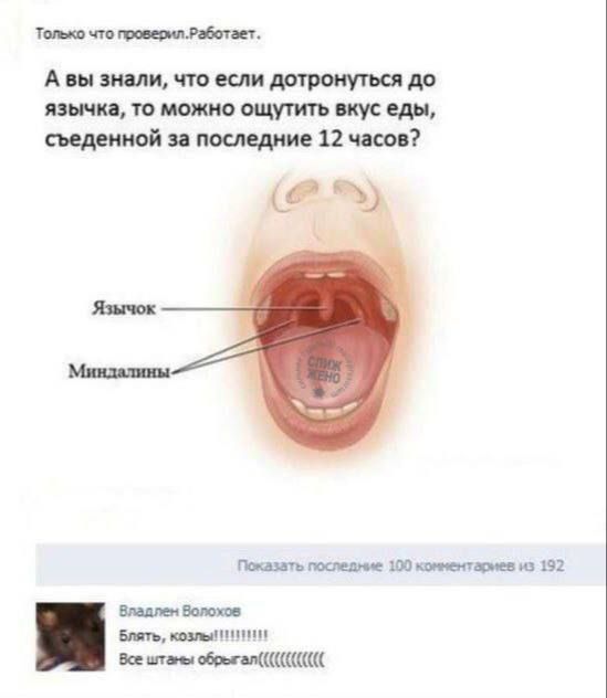 Только что проверил. Работает. А вы знали, что если дотронуться до язычка, то можно ощутить вкус еды, съеденной за последние 12 часов? Язычок — миндалины