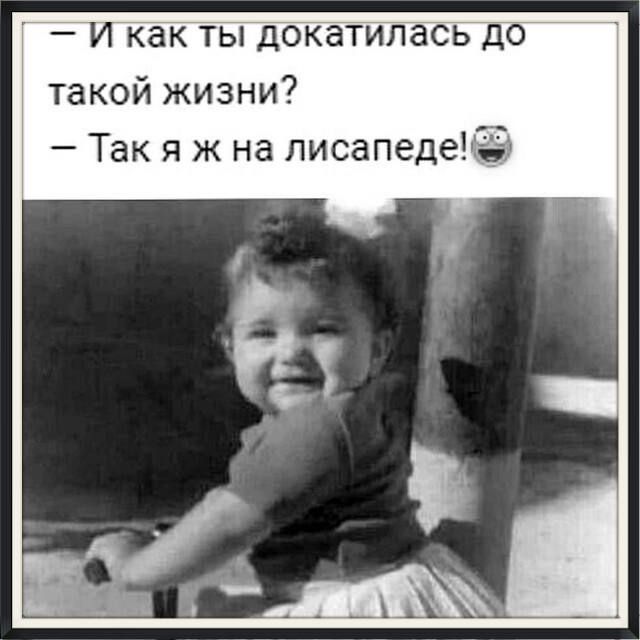 И как ты докатилась до такой жизни? - Так я ж на лисапеде!