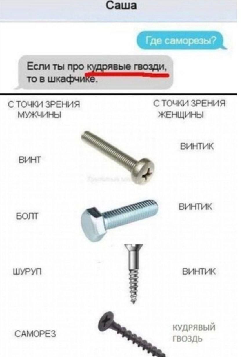 Где саморезы?\nЕсли ты про курдя́вые гвозди, то в шкафчике.\nС ТОЧКИ ЗРЕНИЯ МУЖЧИНЫ\nВИНТ\nБОЛТ\nШУРП\nСАМОРЕЗ\n\nС ТОЧКИ ЗРЕНИЯ ЖЕНЩИНЫ\nВИНТИК\nВИНТИК\nВИНТИК\nКУДРЯВЫЙ ГВОЗДЬ