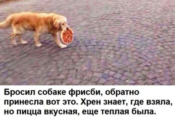 Бросил собаке фрисби, обратно принесла вот это. Хрен знает, где взяла, но пища вкусная, еще теплая была.