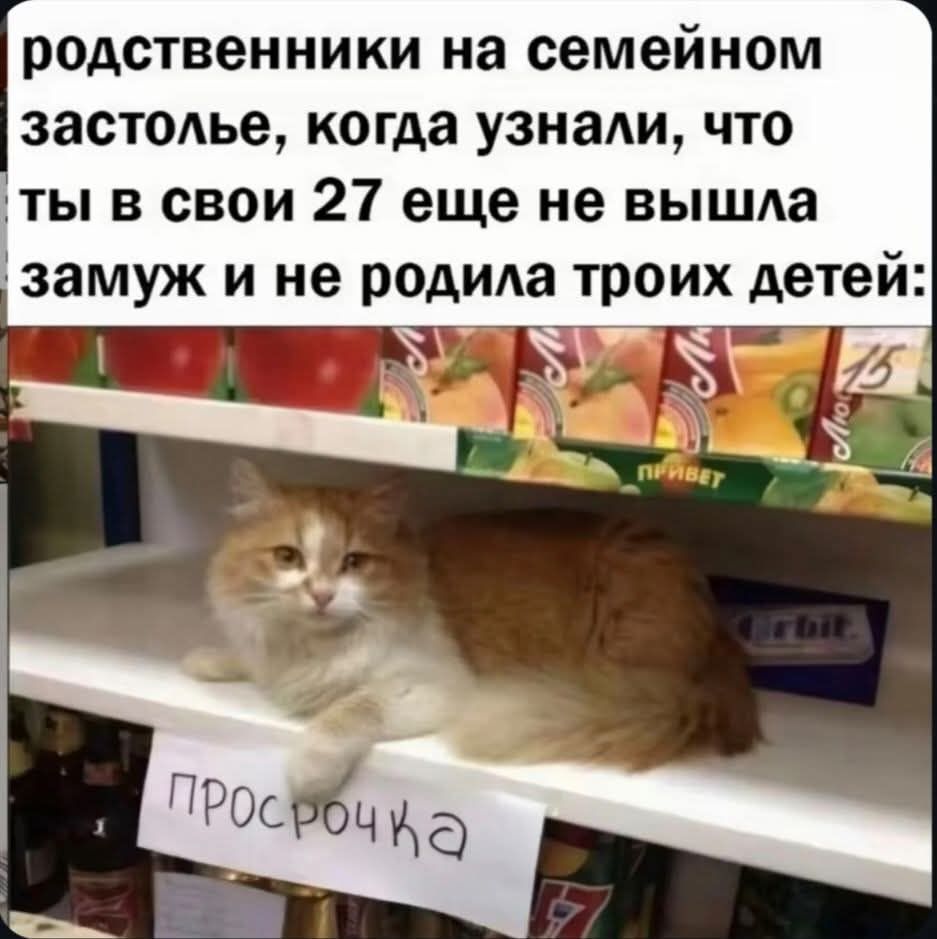 родственники на семейном застолье, когда узнали, что ты в свои 27 еще не вышла замуж и не родила троих детей:

Просрочка