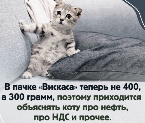 В пачке «Вискaса» теперь не 400, а 300 грамм, поэтому приходится объяснять коту про нефть, про НДС и прочее.