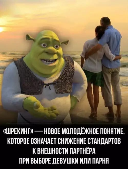 «ШРЕКИН» — новое молодёжное понятие, которое означает снижение стандартов к внешности партнёра при выборе девушки или парня