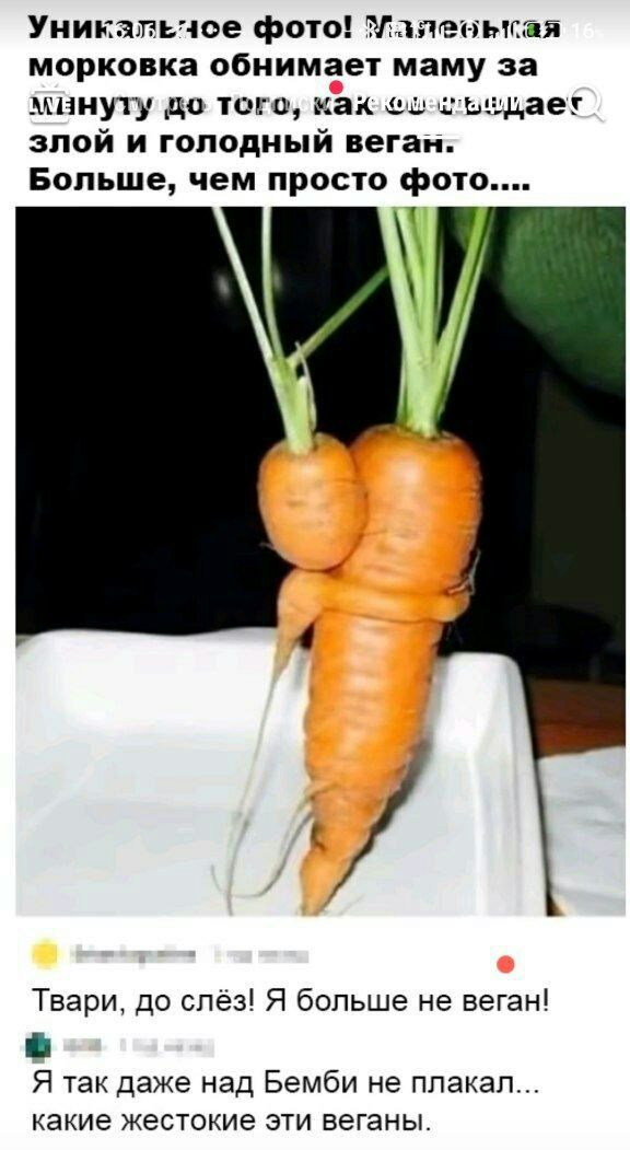 Уникальное фото! Миловская морковка обнимает маму за минуту до того, как она нападает злой и голодный веган. Больше, чем просто фото....

Твари, до слёз! Я больше не веган!
Я так даже над Бемби не плакал... какие жестокие эти веганы.