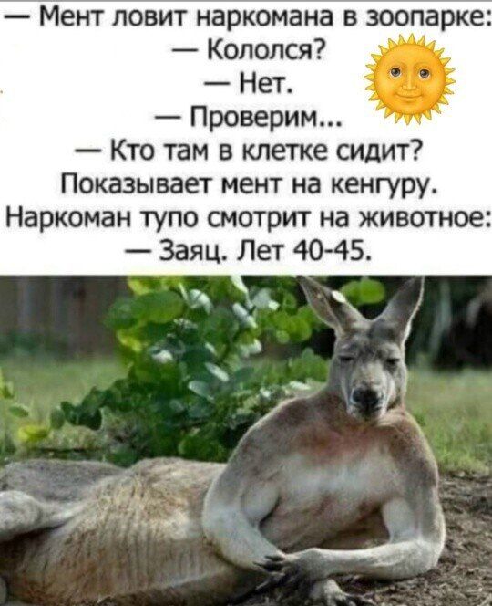 — Мент ловит наркомана в зоопарке: 
— Кололся? 
— Нет. 
— Проверим... 
— Кто там в клетке сидит? 
Показывает мент на кенгуру. 
Наркоман тупо смотрит на животное: 
— Заяц. Лет 40-45.
