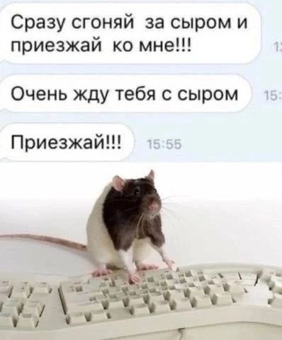 Сразу сгоняй за сыром и приезжай ко мне!!! Очень жду тебя с сыром Приезжай!!!