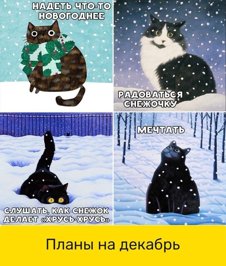 Надеть что-то новогоднее
Радоваться снежку
Слушать, как снежок делает «хруст-хруст»
Мечтать
Планы на декабрь