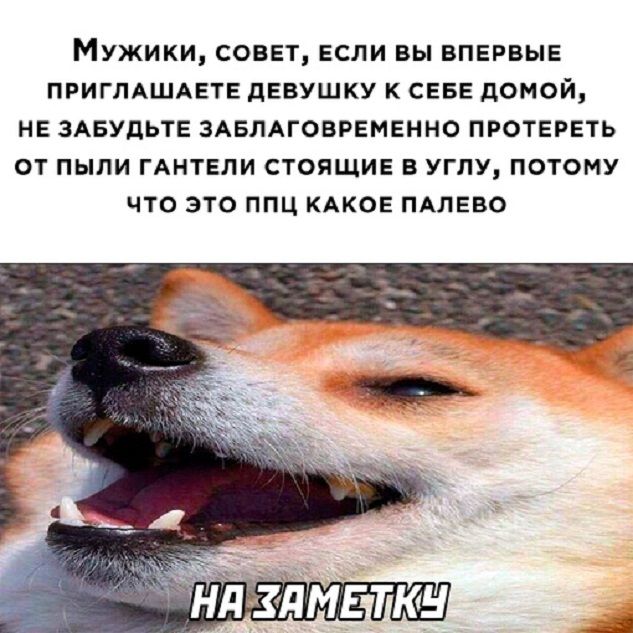 Мужики, совет, если вы впервые приглашаете девушку к себе домой, не забудьте обязательно протереть от пыли гантели стоящие в углу, потому что это ппц какое палево

НА ЗАМЕТКУ