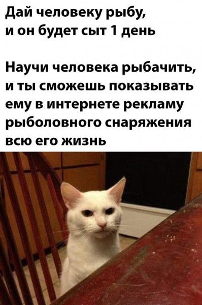Дай человеку рыбу, и он будет сыт 1 день
Научи человека рыбачить, и ты сможешь показывать ему в интернете рекламу рыболовного снаряжения всю его жизнь