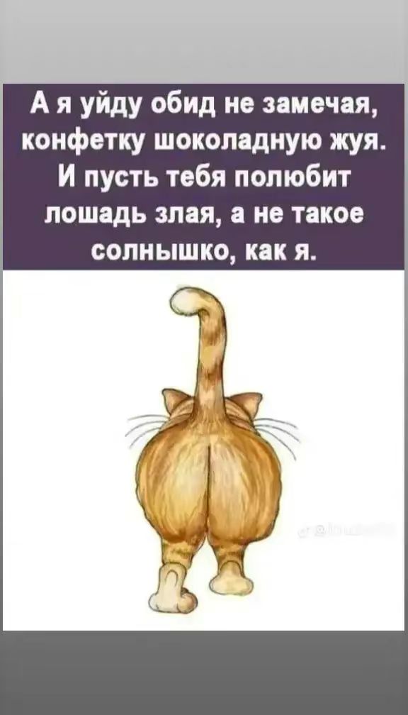А я уйду обид не замечая, конфетку шоколадную жу я. И пусть тебя полюбит лошадь злая, а не такое солнешко, как я.