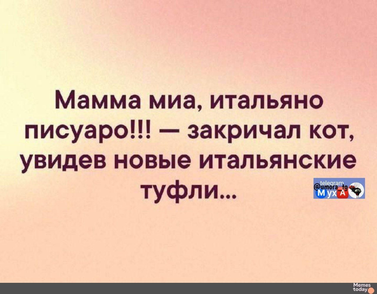 Мамма мия, итальянно писаруo!!! — закричал кот, увидев новые итальянские туфли...