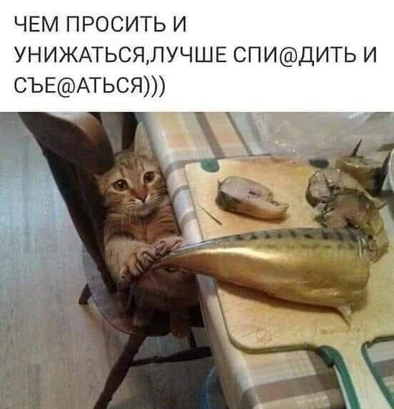 ЧЕМ ПРОСИТЬ И УНИЖАТЬСЯ,ЛУЧШЕ СПИ@ДИТЬ И СЬЕ@АТЬСЯ)))