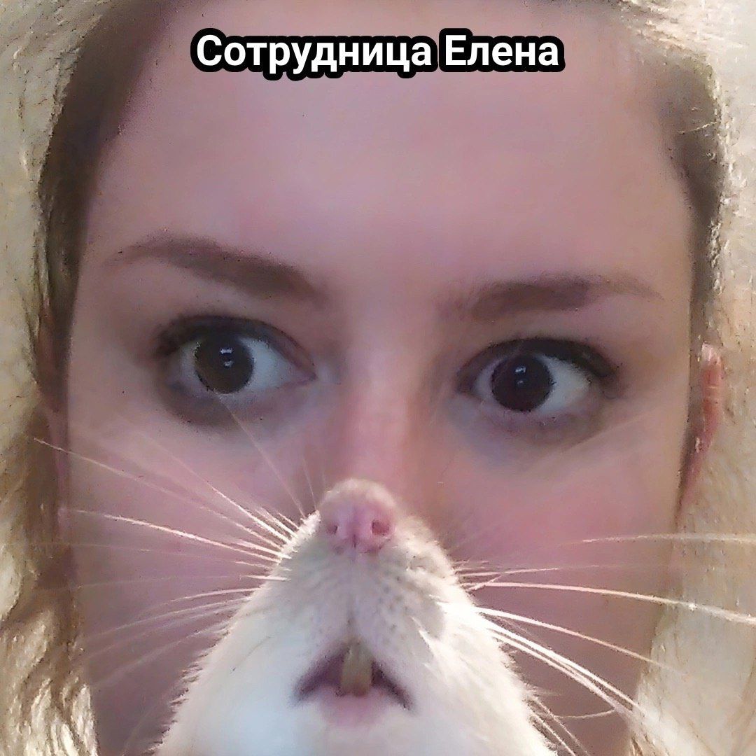 Сотрудница Елена