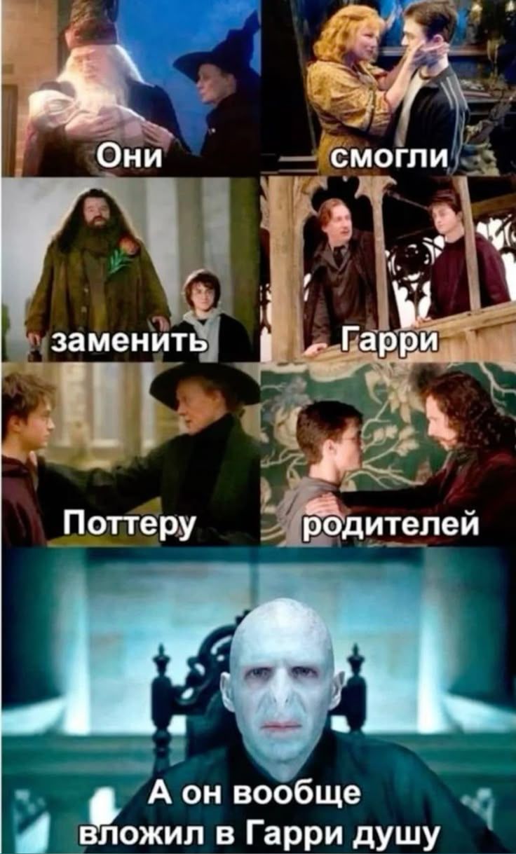 Они смогли заменить Гарри Поттеру родителей. А он вообще вложил в Гарри душу
