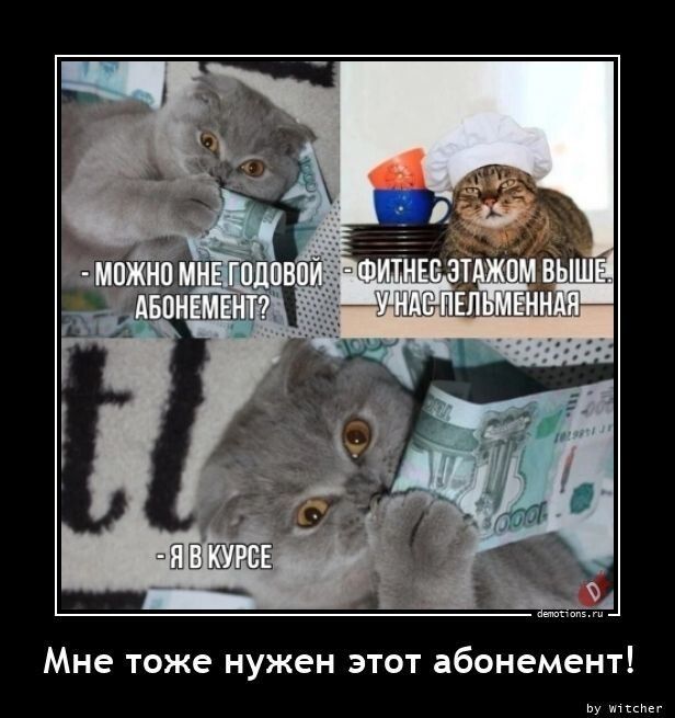 Можно мне годовой абонемент? 
- Фитнес этажом выше, у нас пельменная 
- Я в курсе 
Мне тоже нужен этот абонемент!