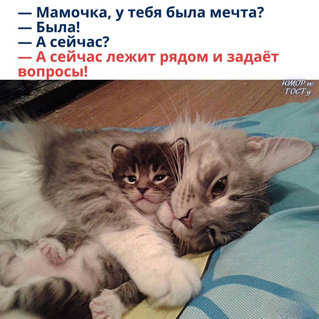 — Мамочка, у тебя была мечта?\n— Была!\n— А сейчас?\n— А сейчас лежит рядом и задаёт вопросы!