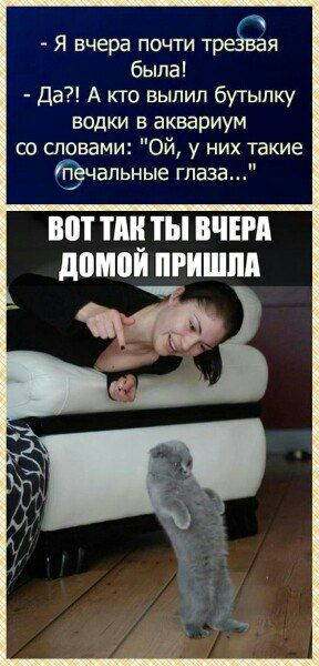 - Я вчера почти трезвая была!
- Да?! А кто вылил бутылку водки в аквариум со словами: 