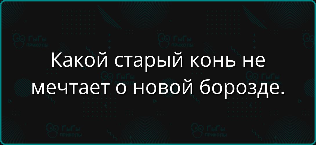 Какой старый конь не мечтает о новой борозде.