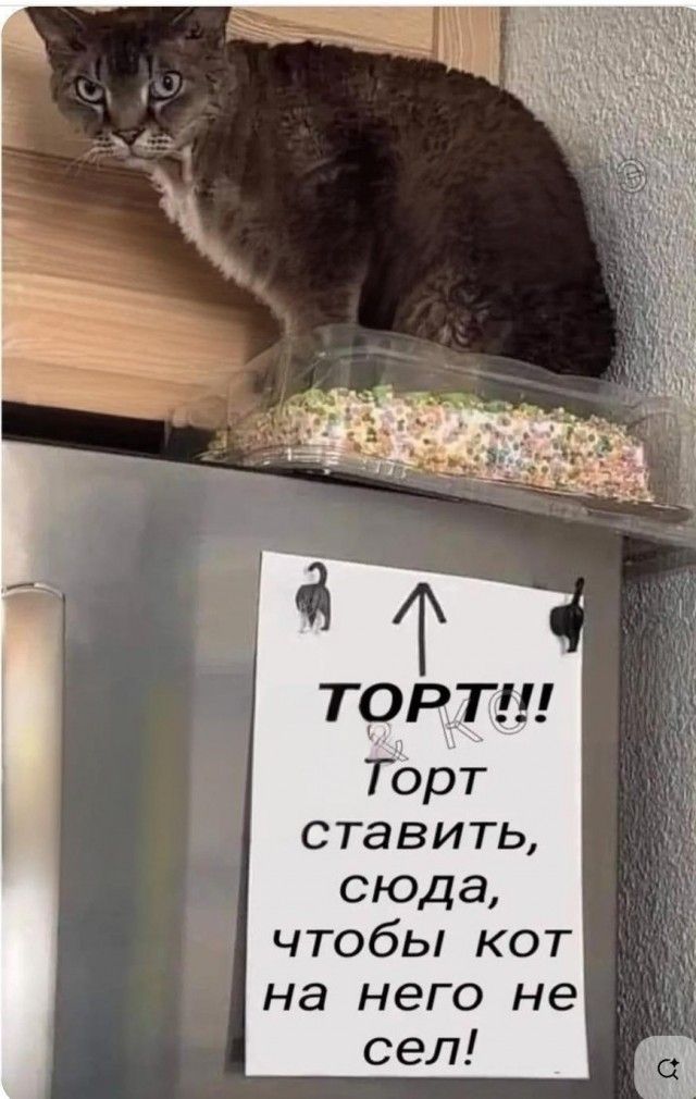 ТОРТ!! Торт ставить, сюда, чтобы кот на него не сел!