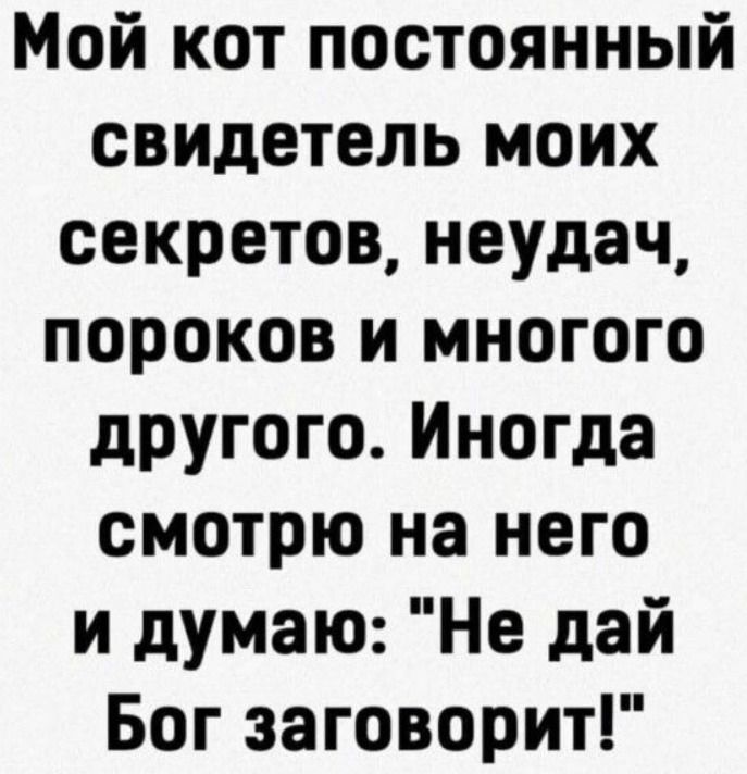Мой кот постоянный свидетель моих секретов, неудач, пороков и многого другого. Иногда смотрю на него и думаю: 'Не дай Бог заговорит!'