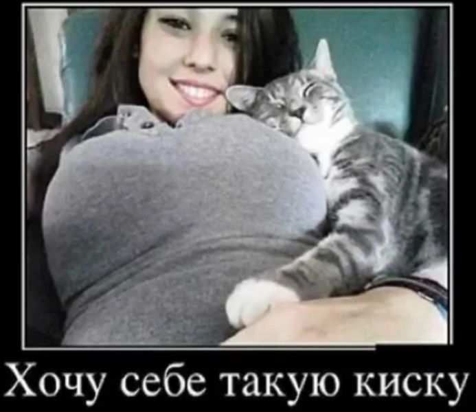 Хочу себе такую киску