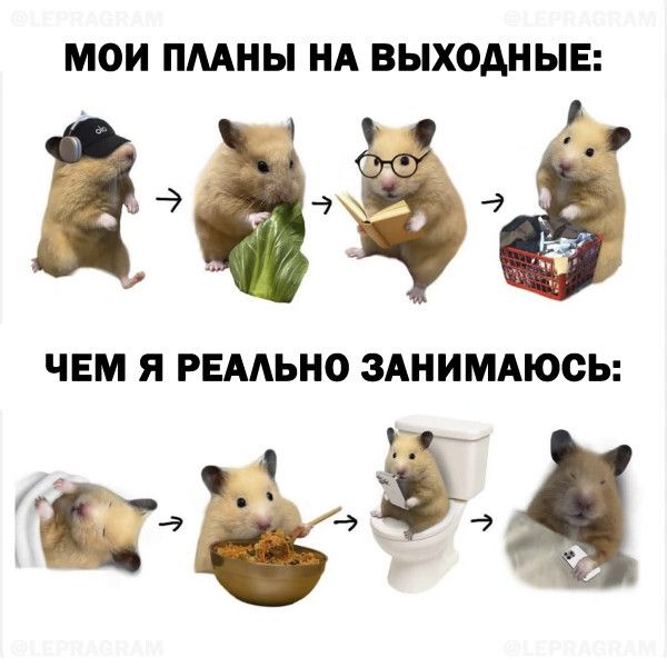 МОИ ПЛАНЫ НА ВЫХОДНЫЕ:
ЧЕМ Я РЕАЛЬНО ЗАНИМАЮСЬ: