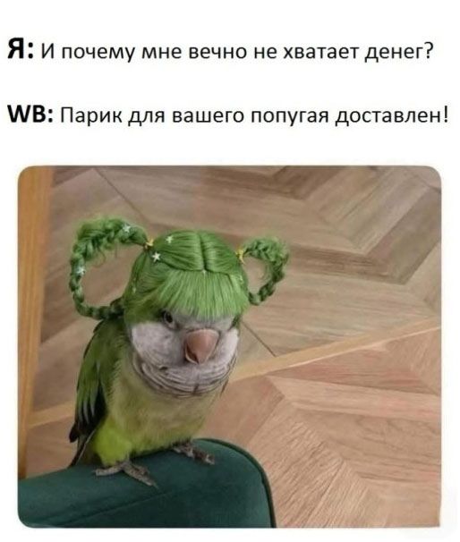 Я: И почему мне вечно не хватает денег?
WB: Парик для вашего попугая доставлен!
