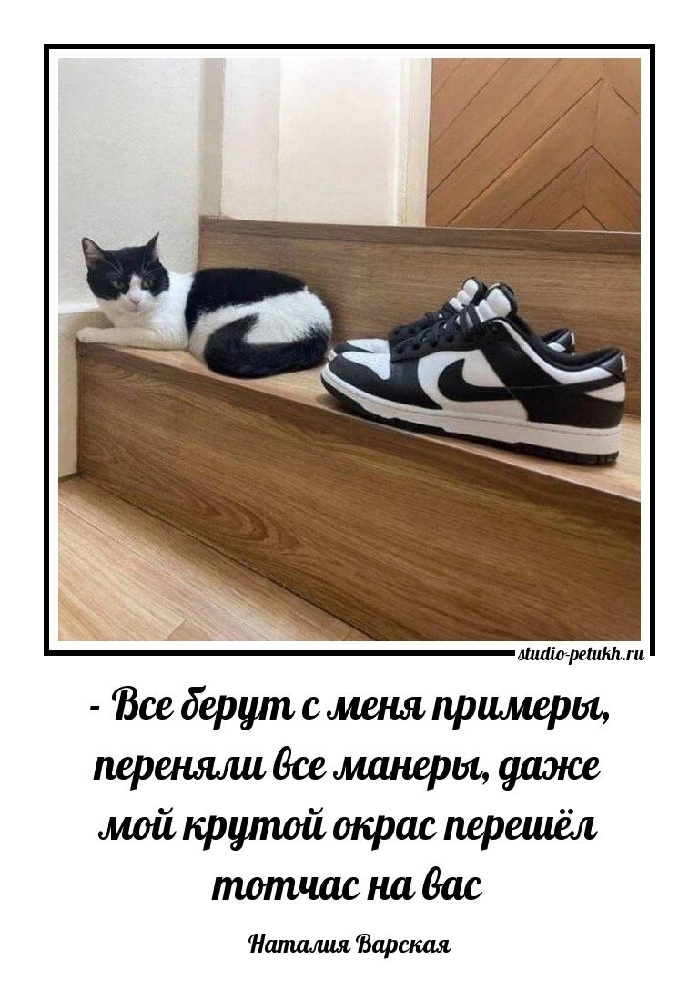 - Все берут со меня примеры, переняли все манеры, даже мой крутой окрас перешёл теперь на вас