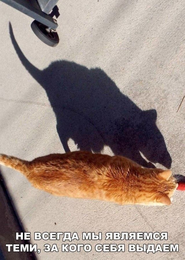 НЕ ВСЕГДА МЫ ЯВЛЯЕМСЯ ТЕМИ, ЗА КОГО СЕБЯ ВЫДАЕМ