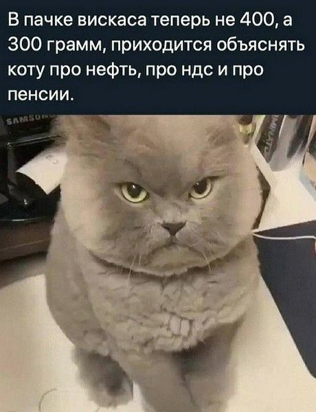 В пачке вискаса теперь не 400, а 300 грамм, приходится объяснять коту про нефть, про ндс и про пенсии.