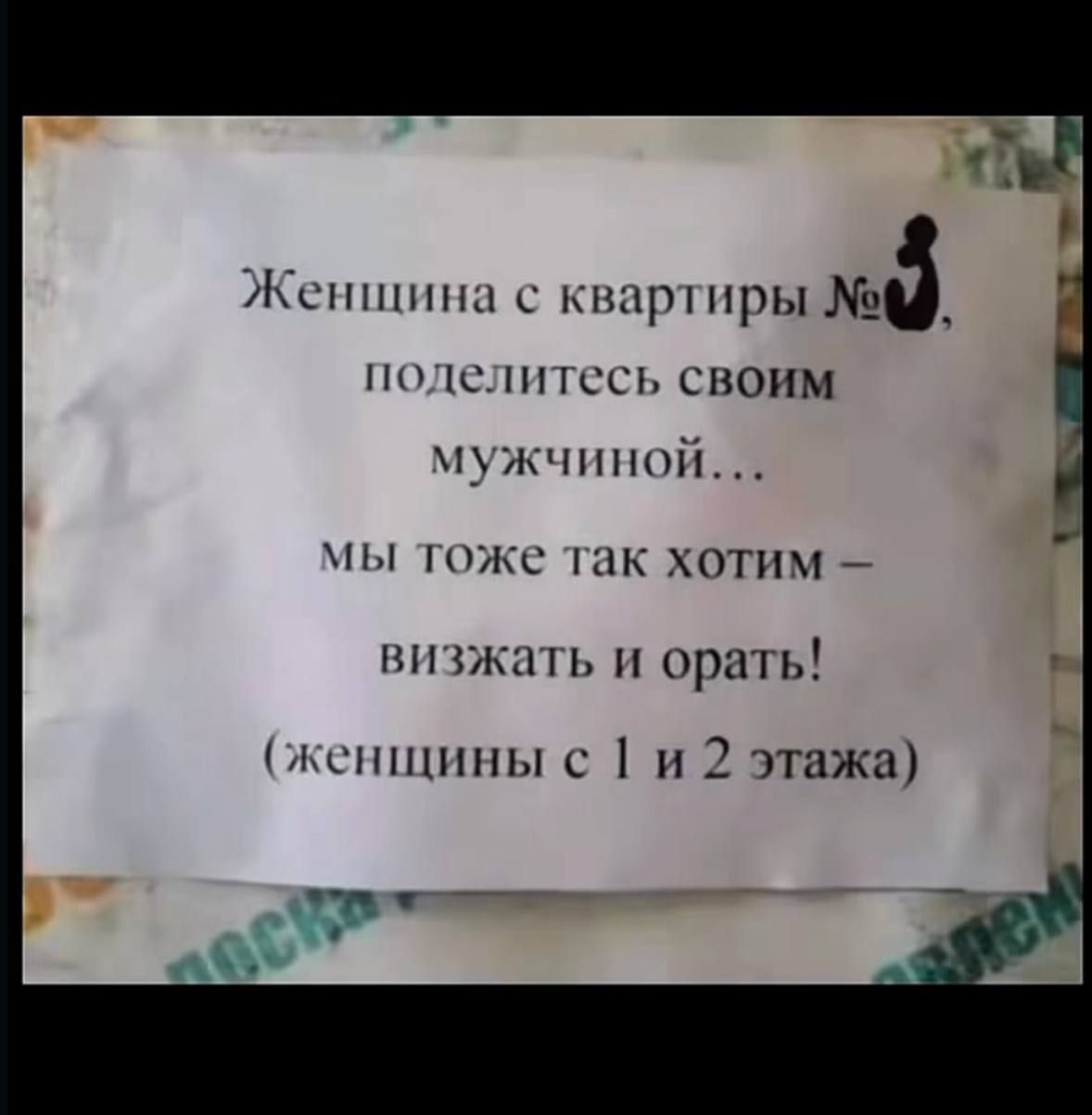 Женщина с квартиры №8, поделитесь своим мужчиной... мы тоже так хотим — визжать и орать! (женщины с 1 и 2 этажа)