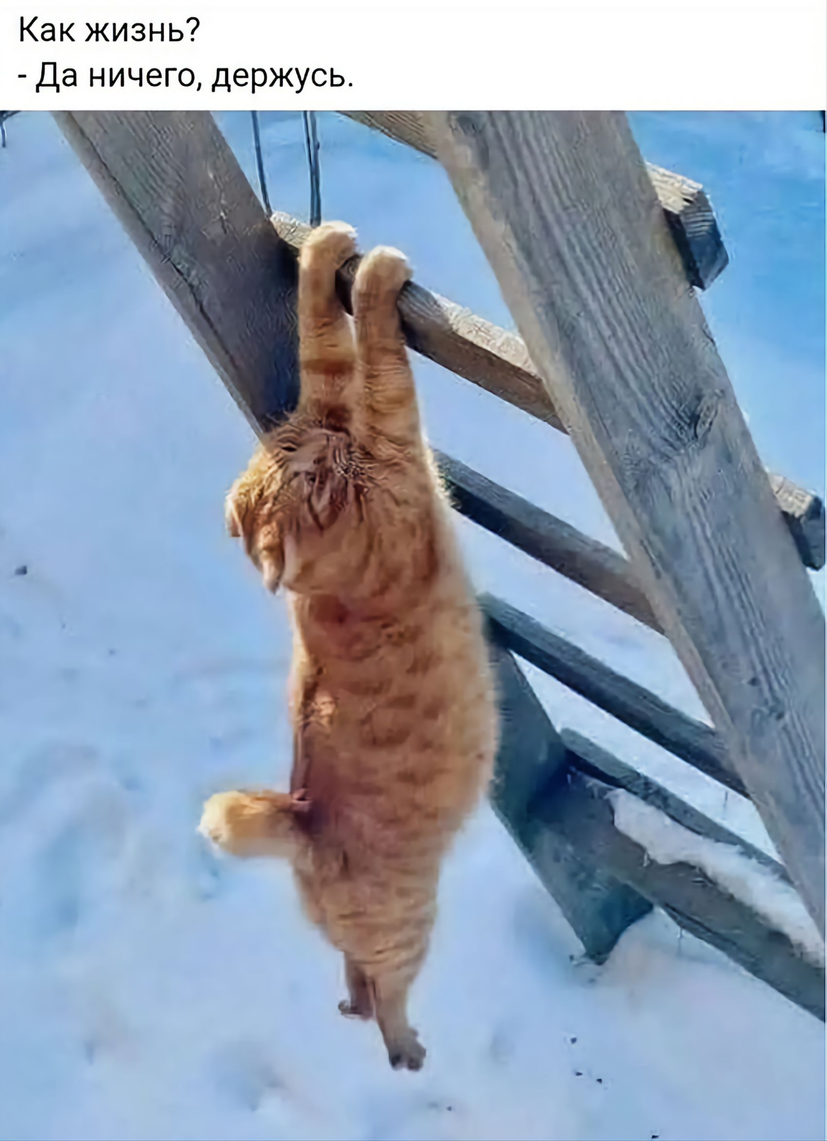 Как жизнь? - Да ничего, держусь.